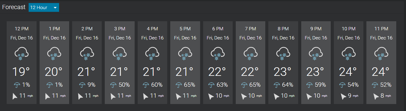 forecast-12-hour.png